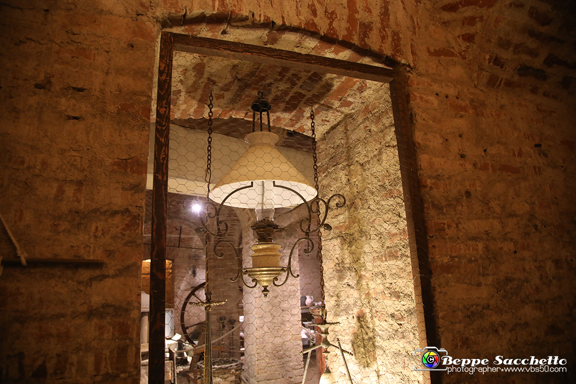 VBS_7445 - Inaugurazione Messer Tulipano 2022 Castello di Pralormo - XXII Edizione.jpg